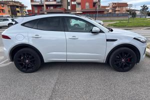 Jaguar e pace