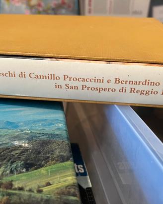 Gli affreschi in San Prospero di Reggio Emilia