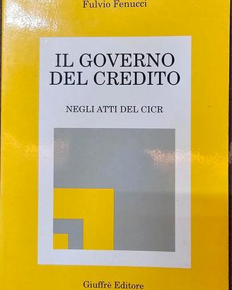 Il governo del credito - Fulvio Fenucci