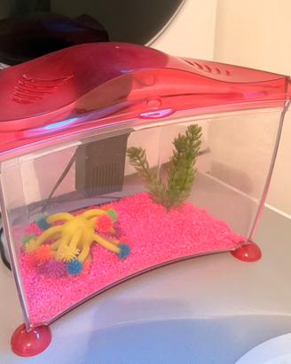 Aquario