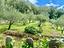 Immagine 21