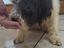 Immagine 2
