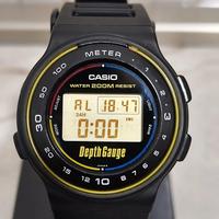 Casio DW-220DG Gauge 