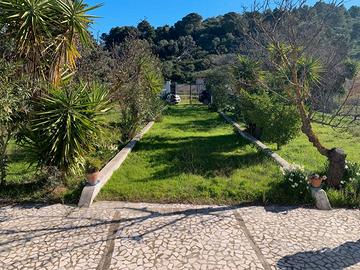 Graziosa villetta con giardino