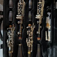 Coppia Clarinetti Patricola modello Virtuoso