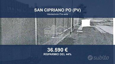Immobile in asta di 4950 m² a San Cipriano Po