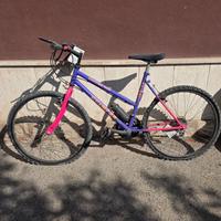 bicicletta Mountain bike