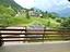 Immagine 14