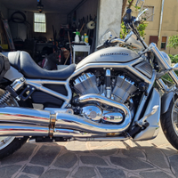 Harley-davidson V ROD 1250 2008