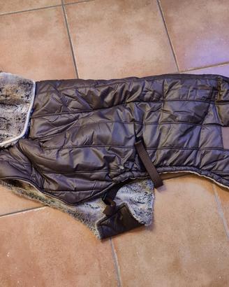 Cappotto per cani