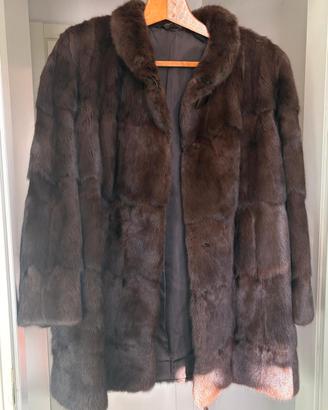 Pelliccia di Petit Gris XL