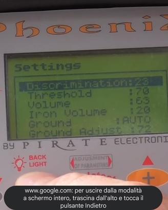 Phoenix pirate pro metal detector 