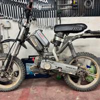 Bravo Monferraglia con libretto 65 polini