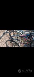 bici colorata