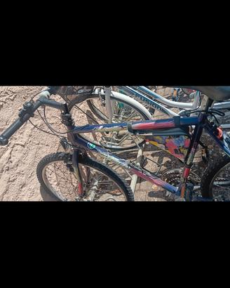 bici colorata