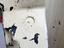 Immagine 15