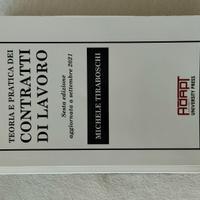 Libro Teoria e pratica dei CONTRATTI DI LAVORO