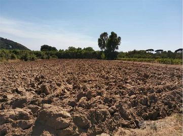 Terreno di 3450 m² a Sessa Aurunca