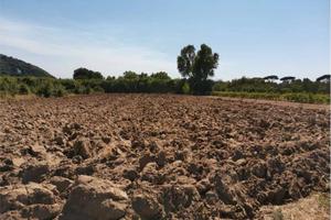 Terreno di 3450 m² a Sessa Aurunca