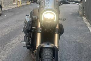 benelli leoncino xtrail