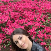 Disponibile da subito