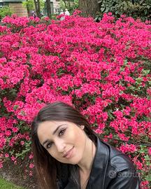 Disponibile da subito