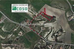 Rif.TA55|Terreno agricolo San Cataldo