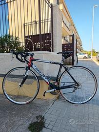 Wilier Triestina 