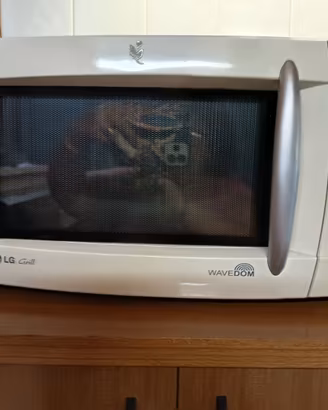 Forno combinato