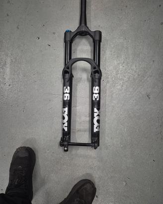 forcelle Fox 36 performance + ammortizzatore post