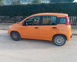 FIAT Panda 3ª serie - 2021