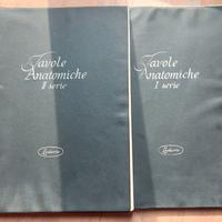 Tavole anatomiche I e II serie