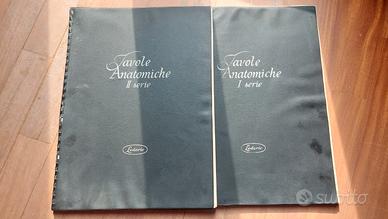 Tavole anatomiche I e II serie