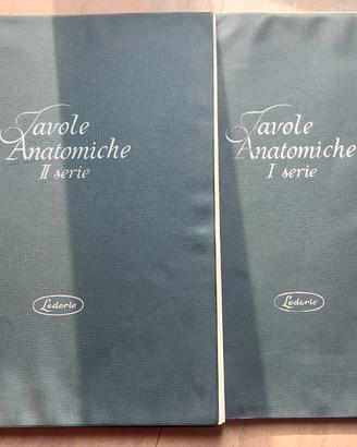 Tavole anatomiche I e II serie