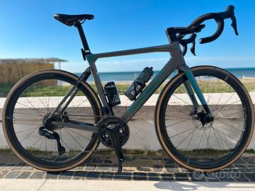 Wilier filante slr