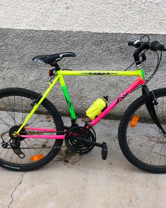 Bici mountain bike rampichino