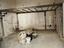Immagine 10