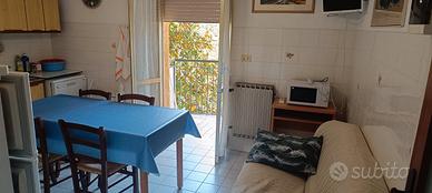 Pinarella vicino alla pineta 23/08 al 30/08