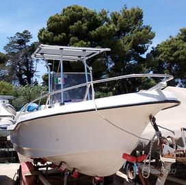 Fisherman Busco 560 con carrello stradale