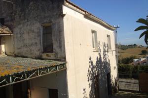 Rustico con terreno