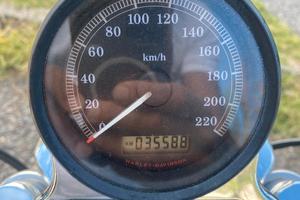 Harley davidson  tipo 883 xl