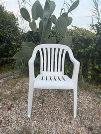 Sedia di plastica
