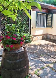 Palinuro,zona faracchio, cottage 2 posti letto