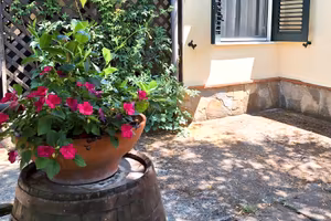 Palinuro,zona faracchio, cottage 2 posti letto