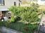 Immagine 23
