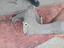 Immagine 27