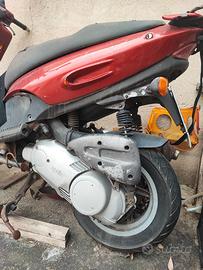 motore rotax 125