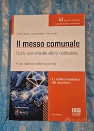 Il messo comunale