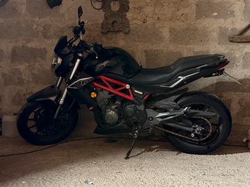 Benelli bn 302 2016