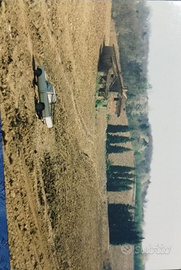 Cascinale con terreno
